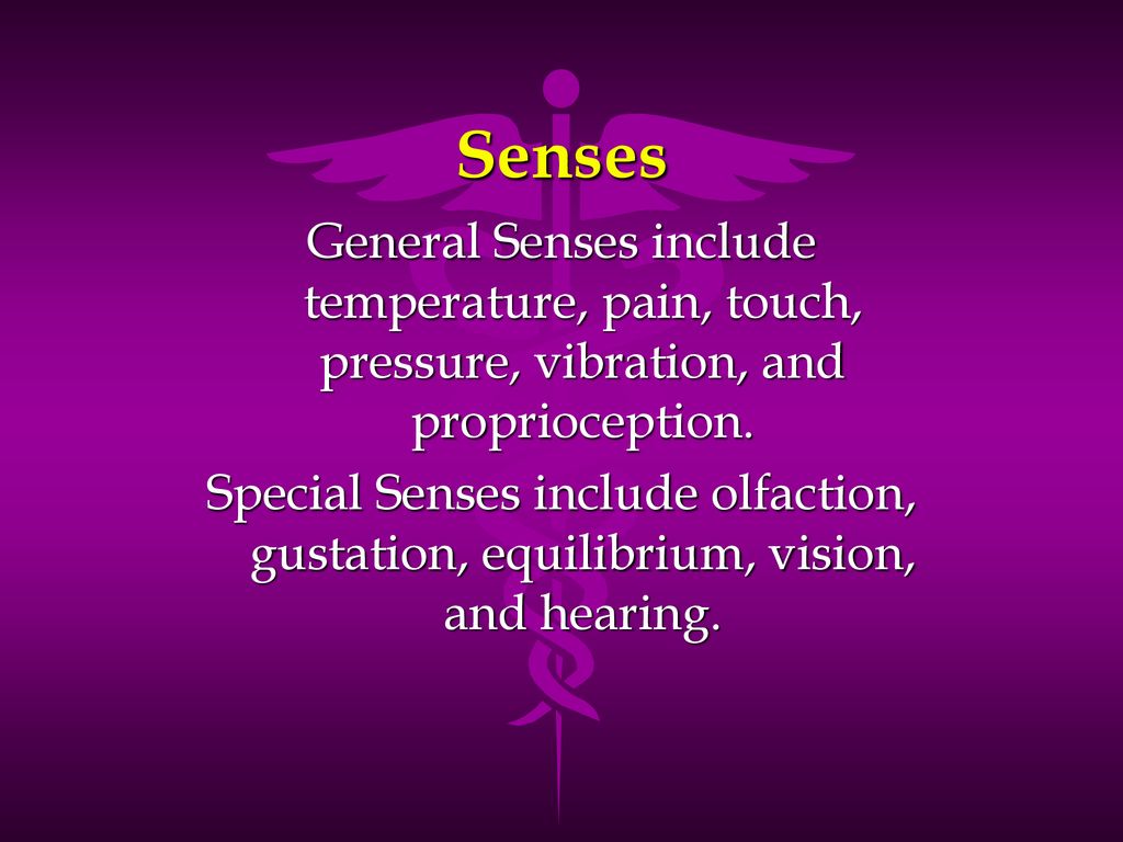 Senses General Senses include temperature, pain, touch, pressure, vibration, and proprioception.