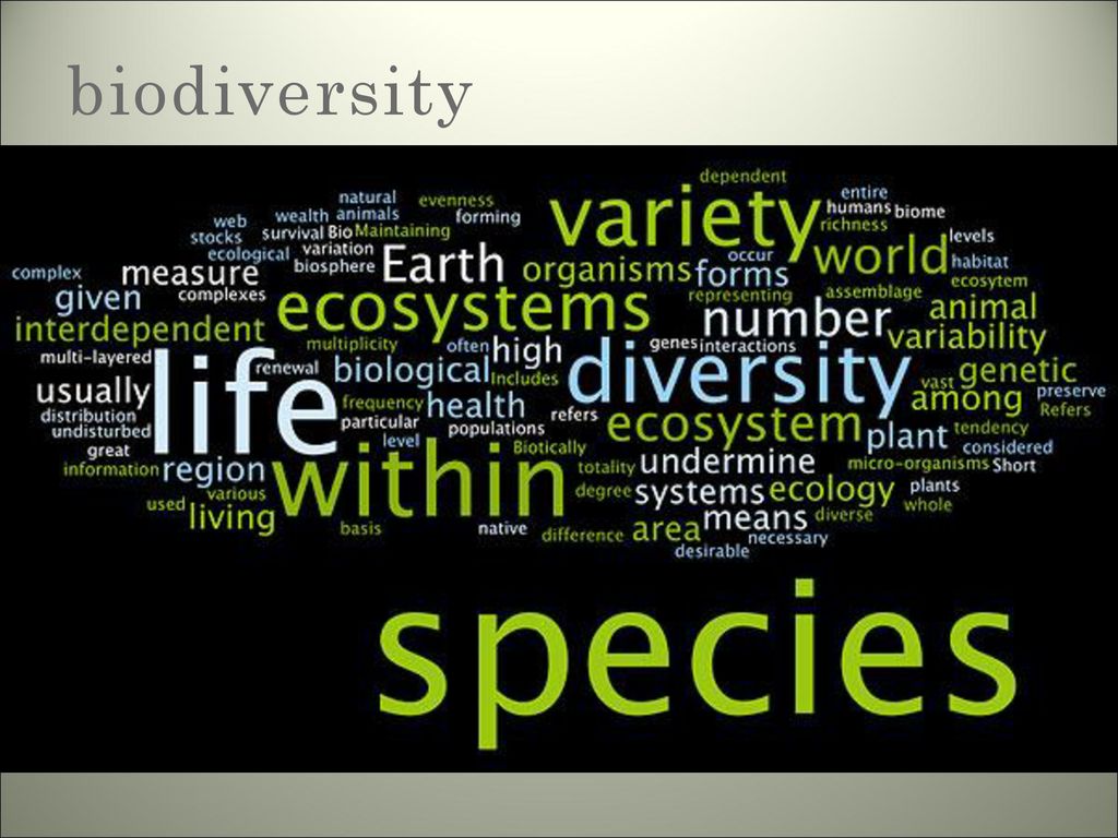 Whole living. Species diversity. World given. The Economics of ecosystems and Biodiversity.. What the Word ecology means.
