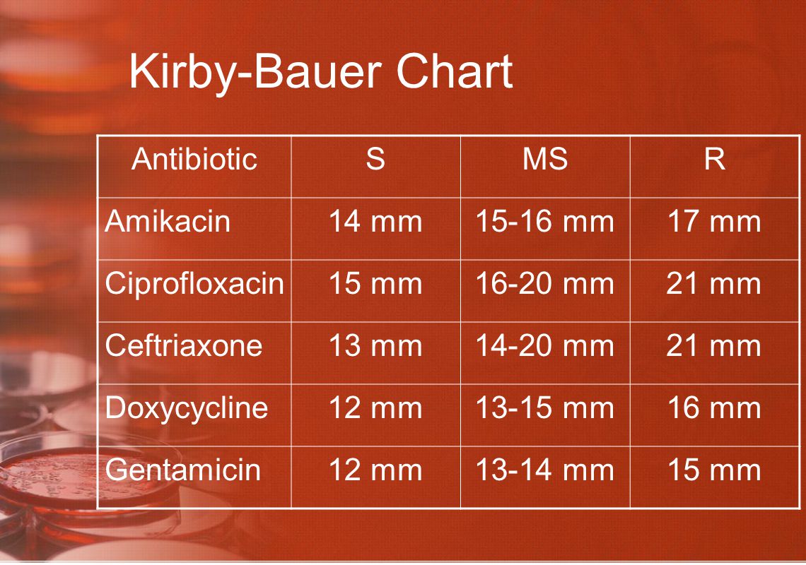 Kirby Bauer Sensitivity Chart