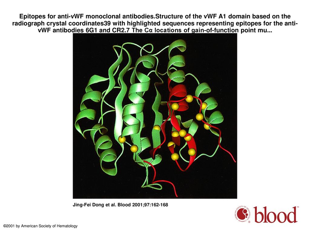 Ristocetin-dependent, but not botrocetin-dependent, binding of von ...