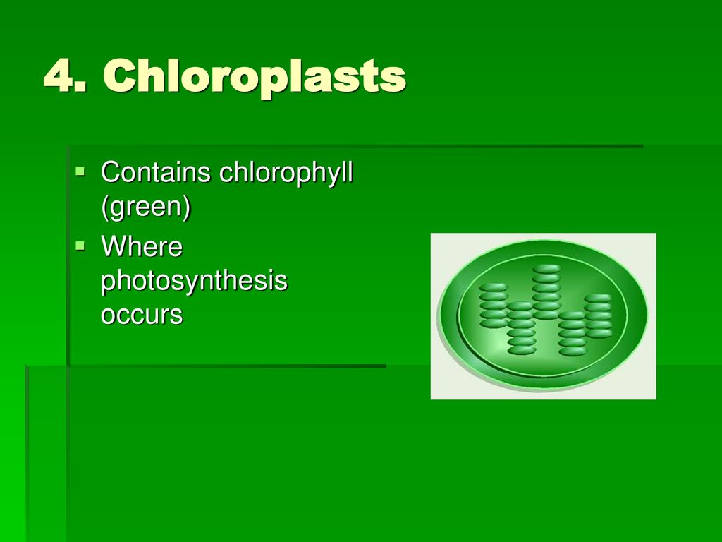 Photosynthesis ppt download