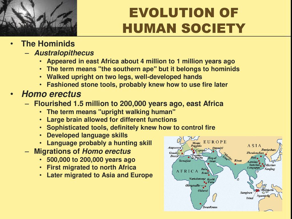 EVOLUTION OF HUMAN SOCIETY