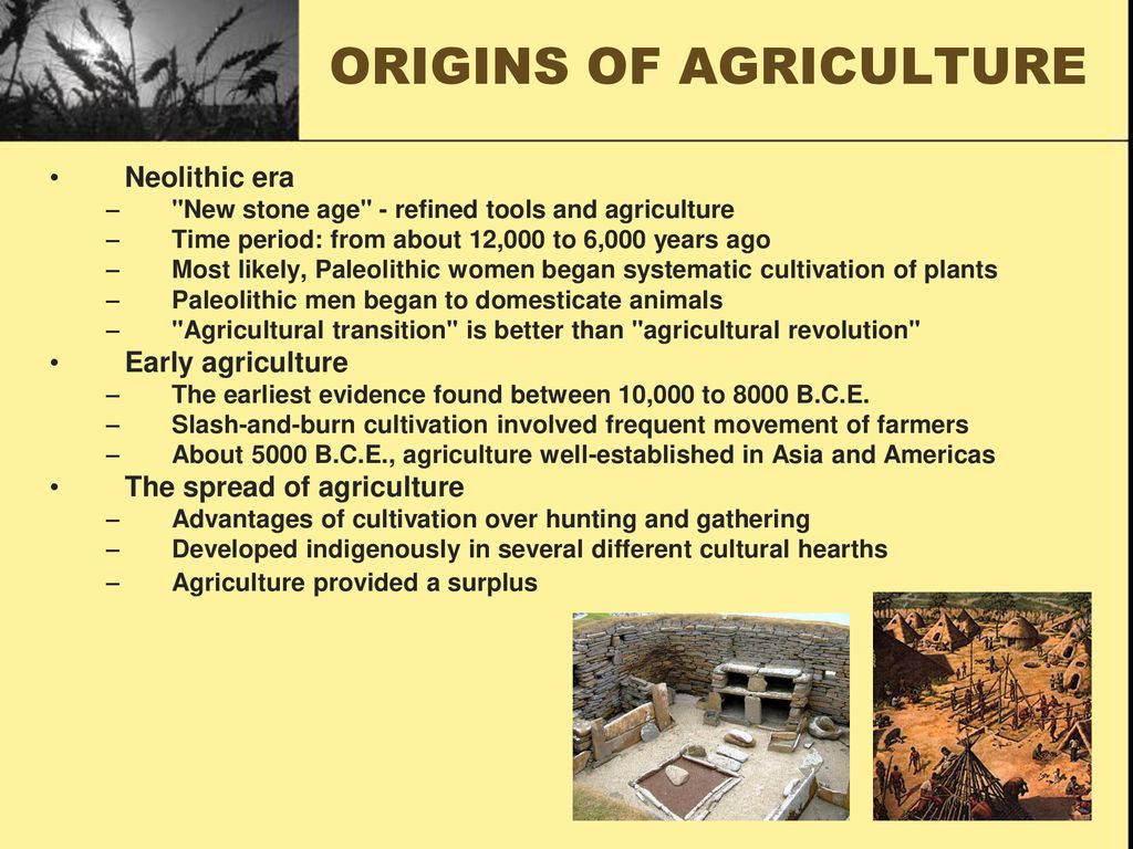 ORIGINS OF AGRICULTURE