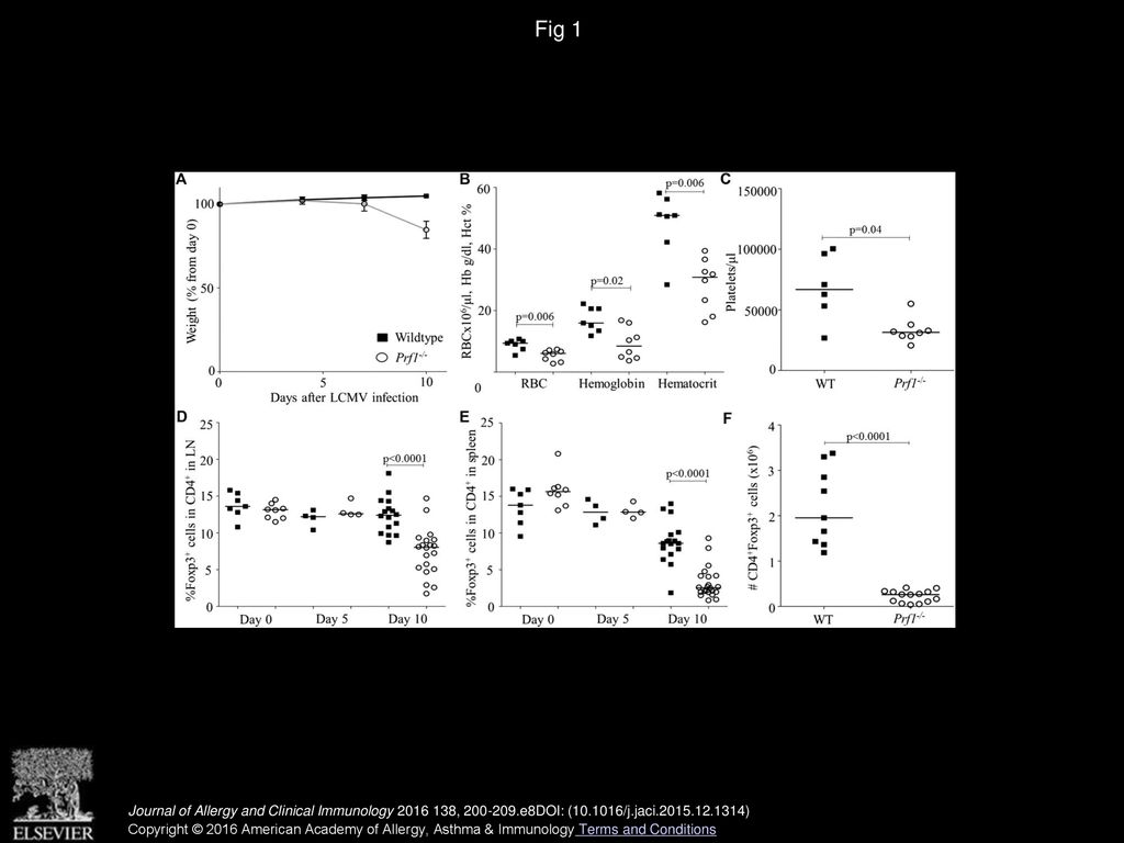 IL-2 consumption by highly activated CD8 T cells induces regulatory T ...