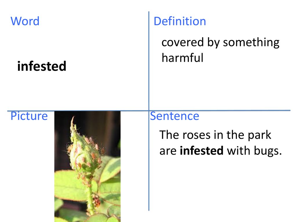 Ambition Word Definition Picture Sentence ppt download
