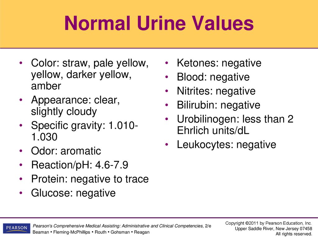 46 urinalysis lesson 1 ppt download