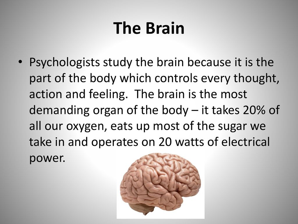 The cerebral cortex is very wrinkled how does the wrinkling make the brain more efficient ideas