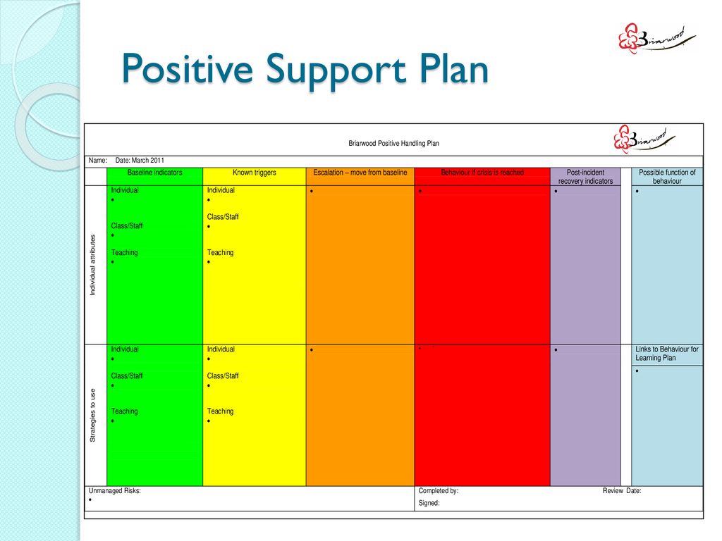 Positive Support Plans Ppt Download