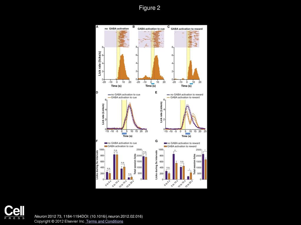 Figure 2 Optical Activation of VTA GABA Neurons Time Locked to Reward Delivery Disrupts Reward Consumption.