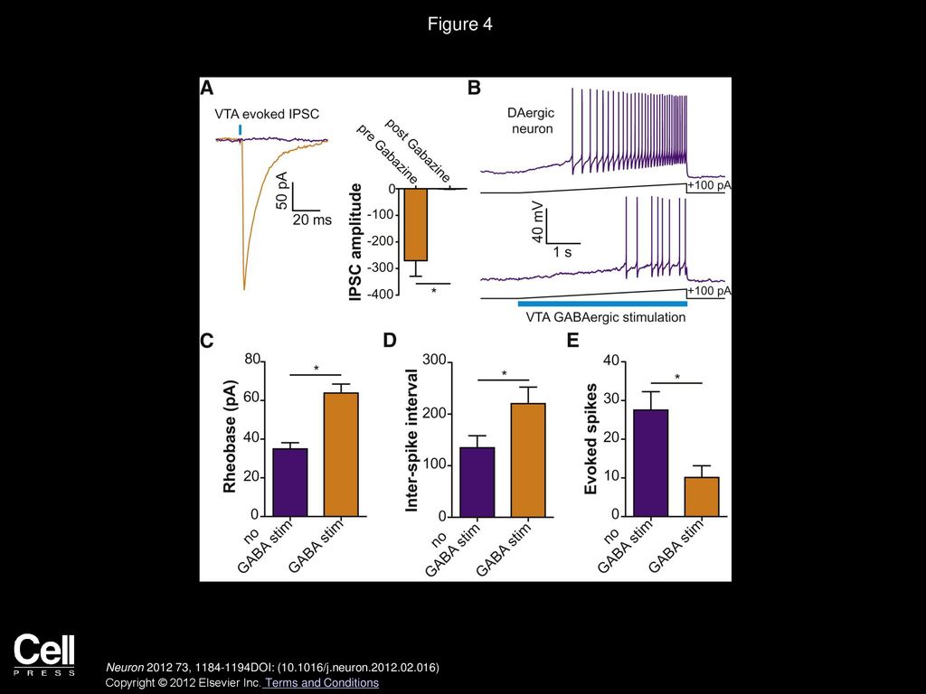 Figure 4 Activation of VTA GABA Neurons Reduces the Excitability of VTA DA Neurons.