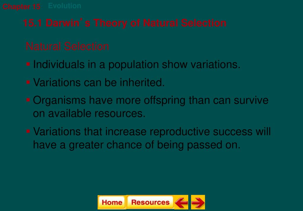 Individuals In A Population Show Variations Ppt Download