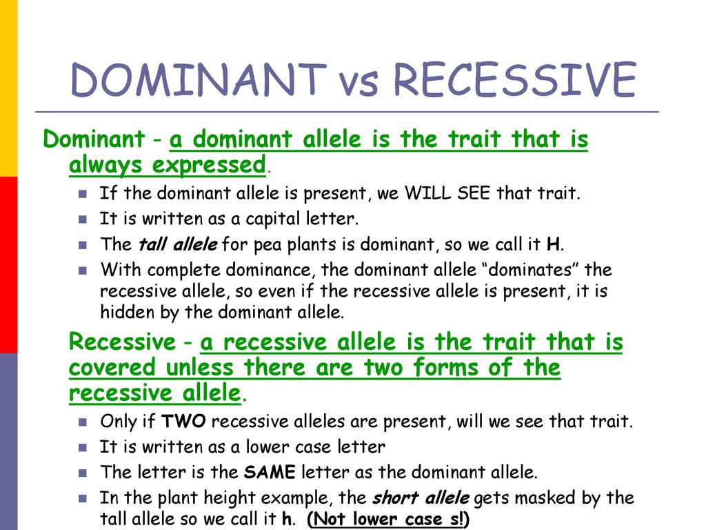 Mendelian Genetics and Punnett Squares - ppt download