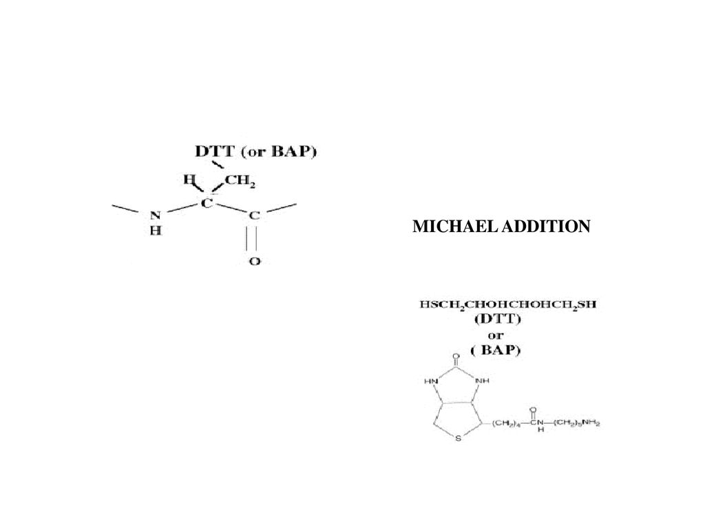 Mapping Sites Of O Glcnac Modification Using Affinity s For Serine And Threonine Post Translational Modifications Wells Vosseller Cole Cronshaw Ppt Download