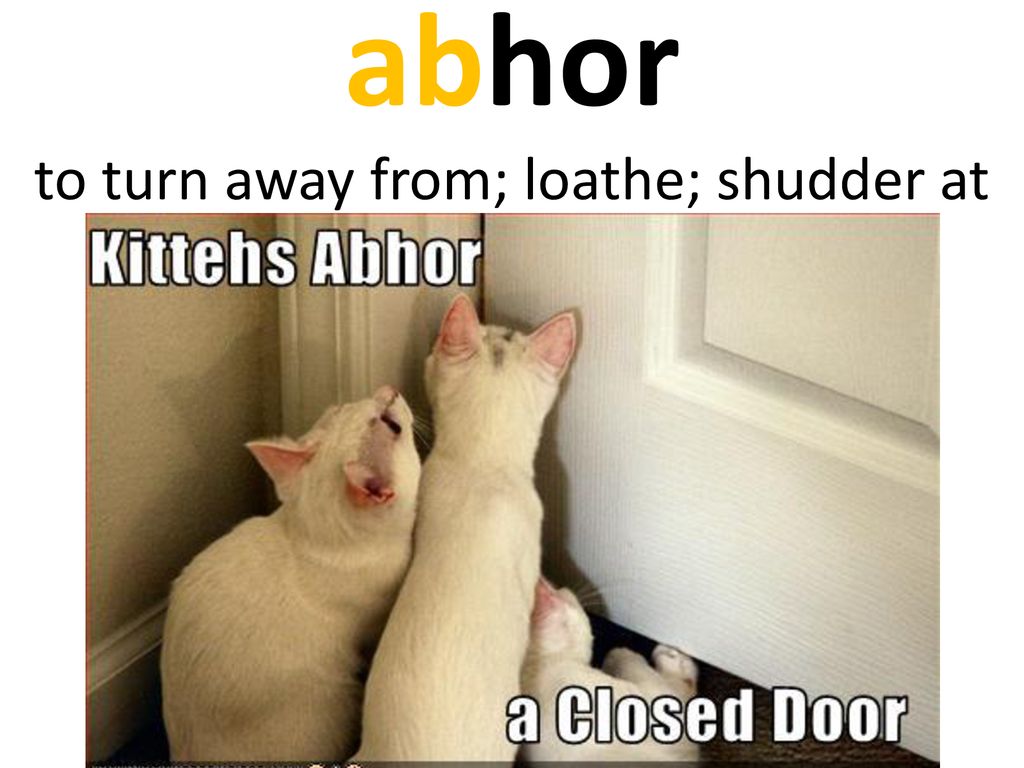 abhor to turn away from; loathe; shudder at