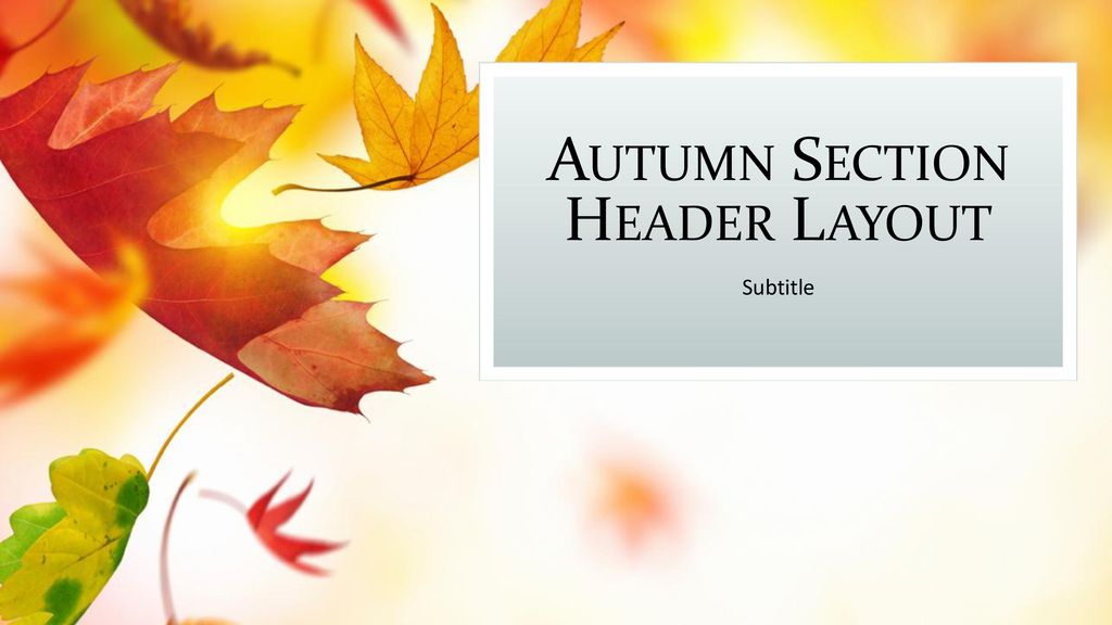 Autumn Section Header Layout