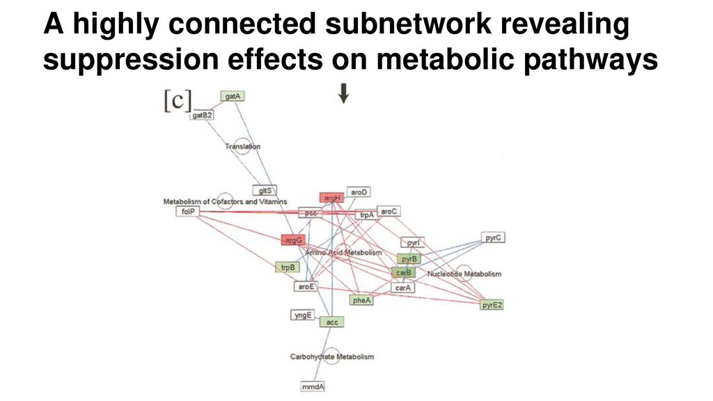 A highly connected subnetwork revealing suppression effects on metabolic pathways