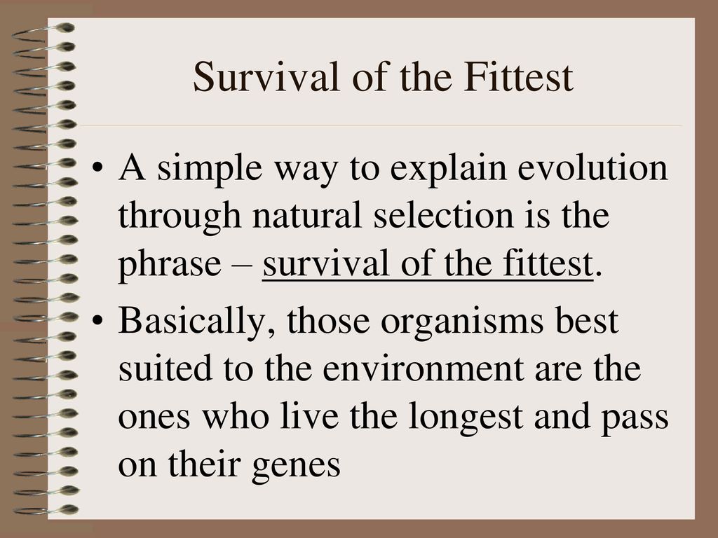 Explain The Phrase Survival Of The Fittest