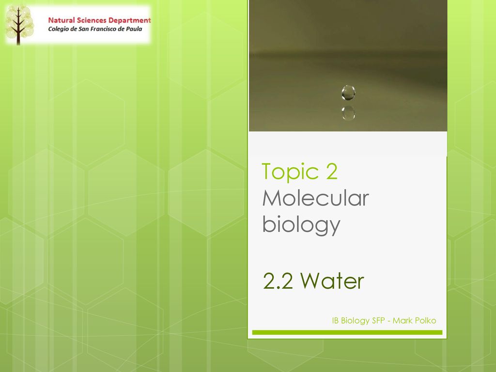 Topic 2 Molecular biology