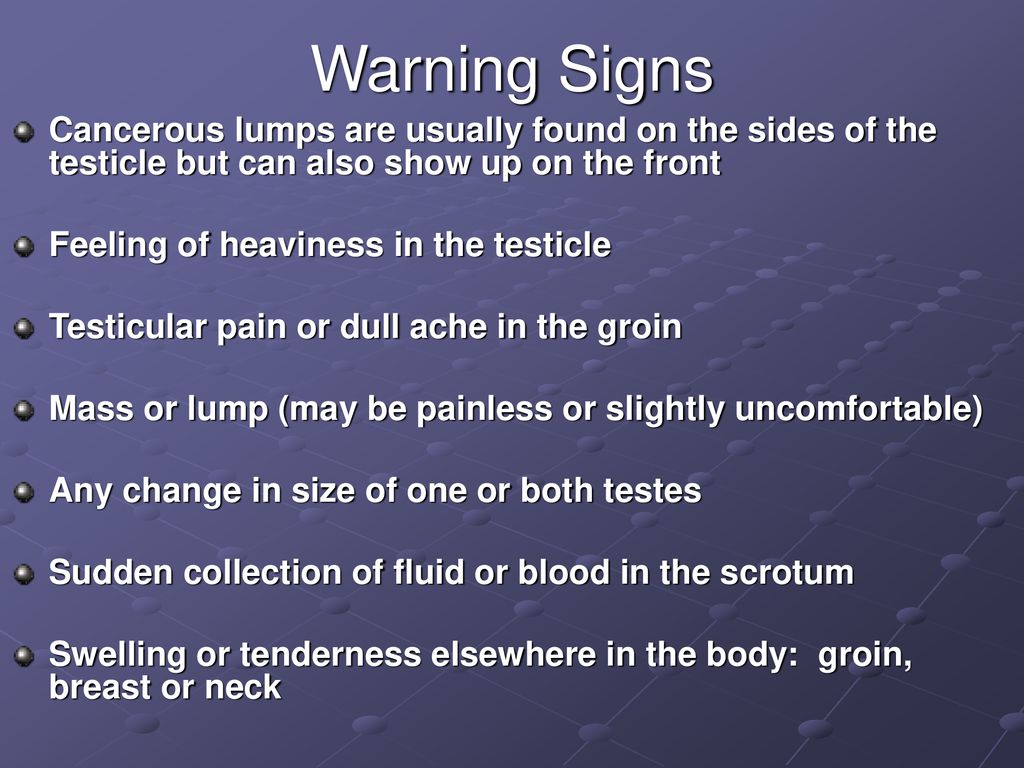 What is the purpose of the reproductive system ppt download