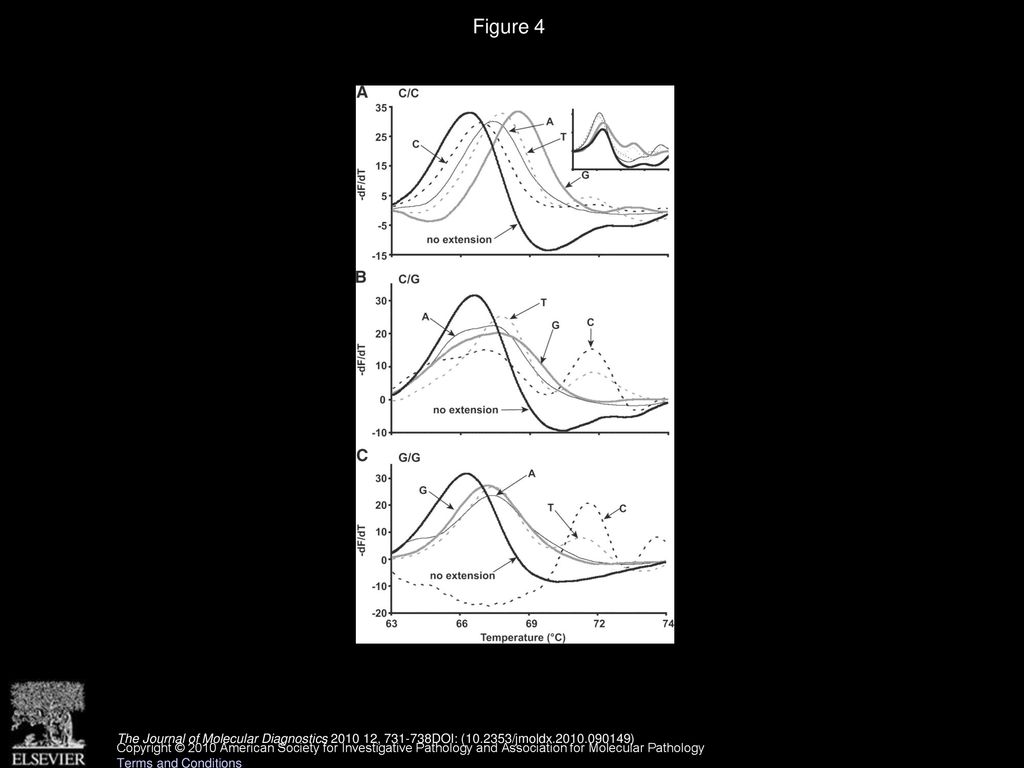 Nucleotide extension genotyping by high resolution melting ppt download
