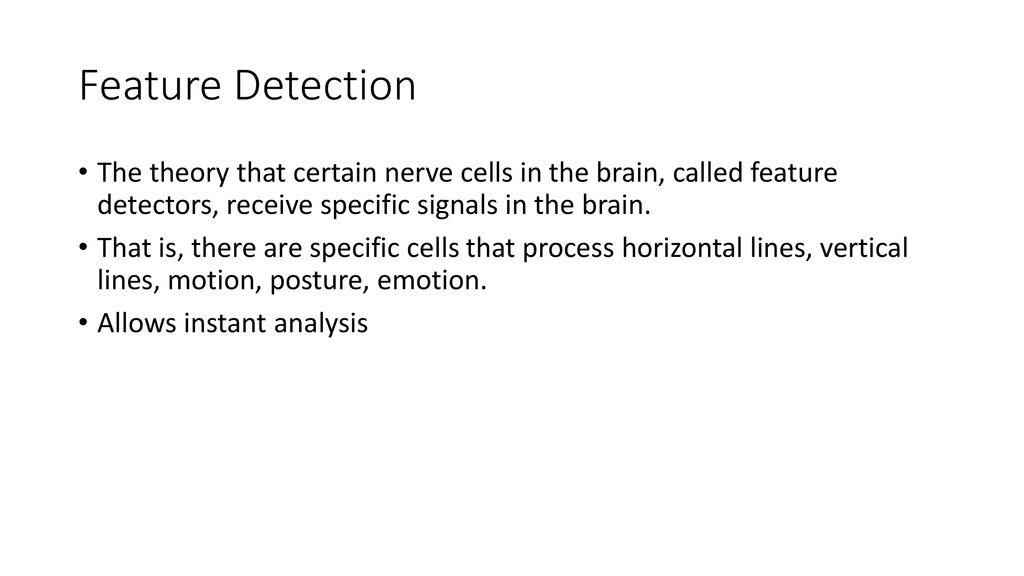 The senses psychology ppt download