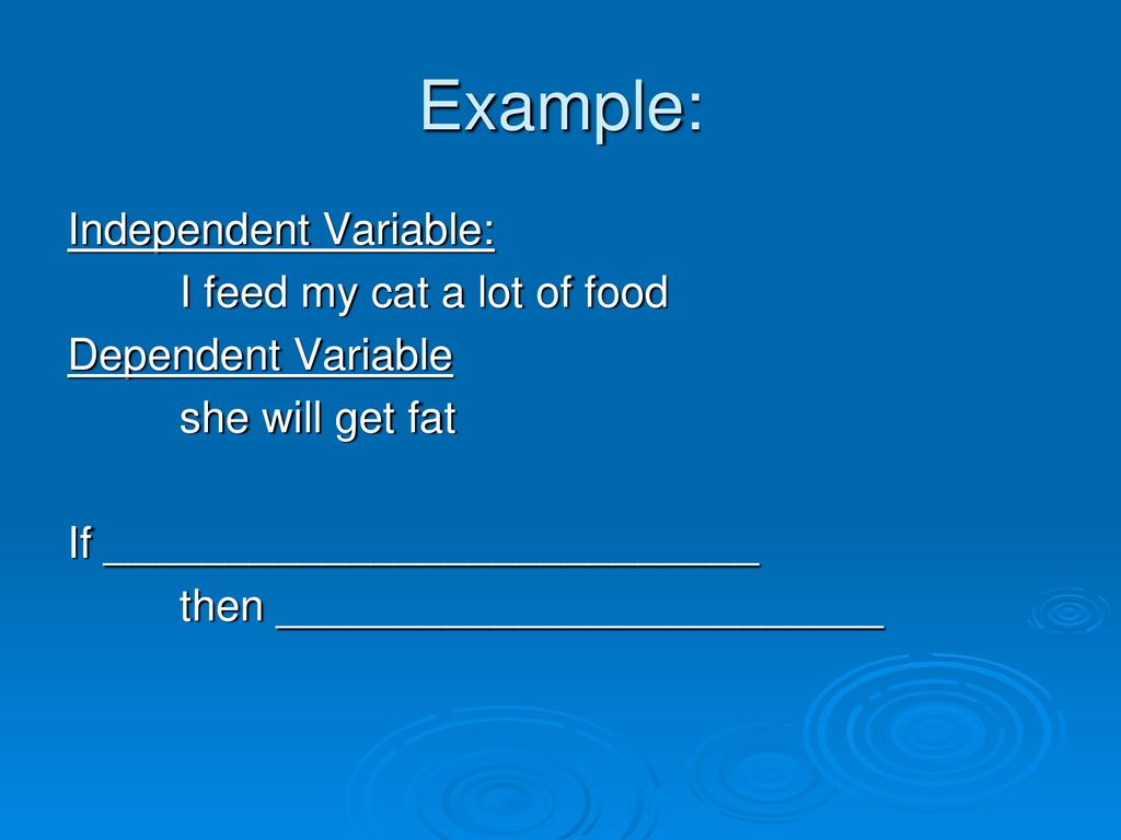 Example: Independent Variable: I feed my cat a lot of food