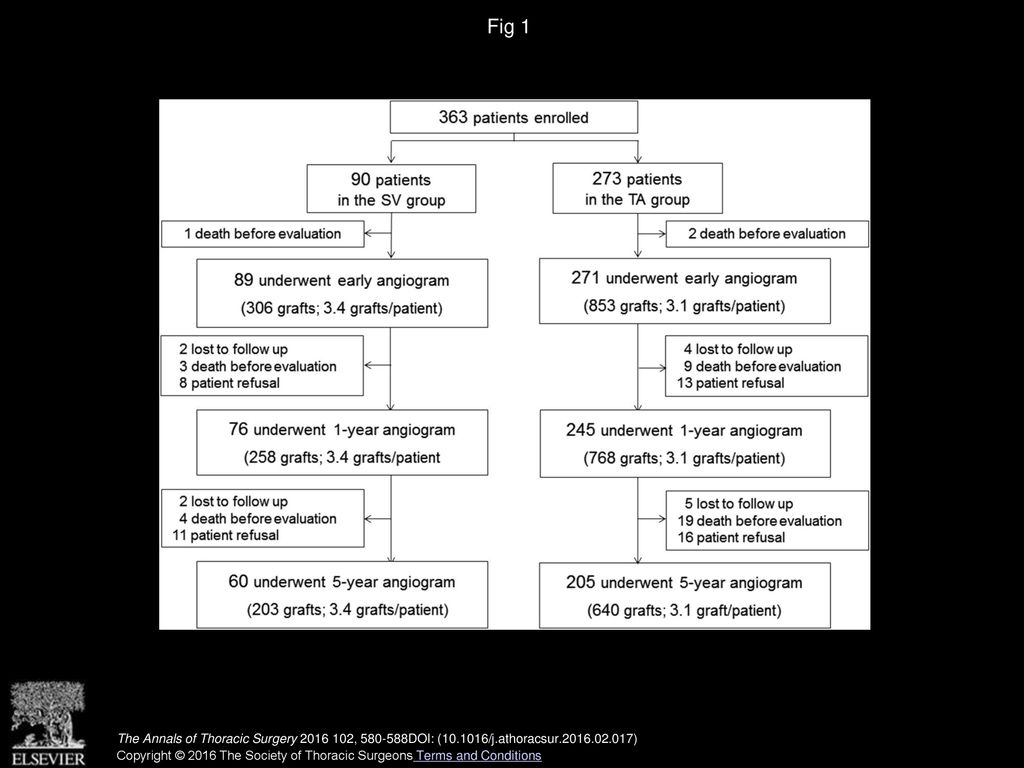 Fig 1 Summary flow diagram showing patients who underwent 5-year graft evaluation. (SV = saphenous vein; TA = total arterial.)