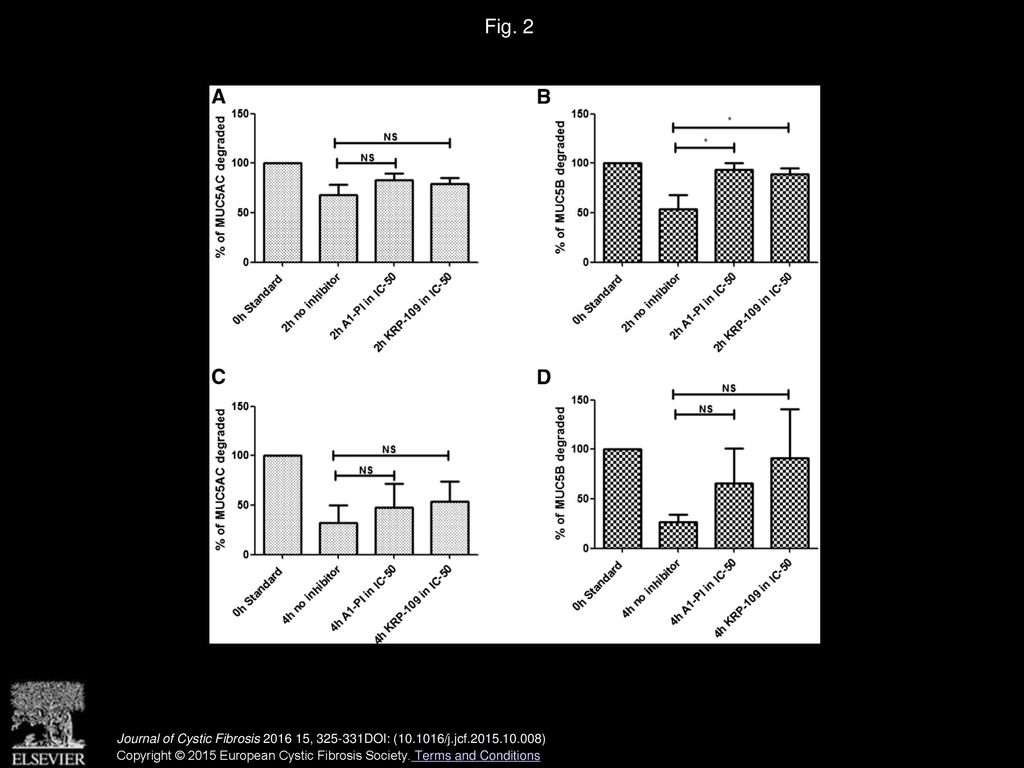 Fig. 2 MUC5AC and MUC5B degradation of all CF sputa in vitro after 2 and 4h.