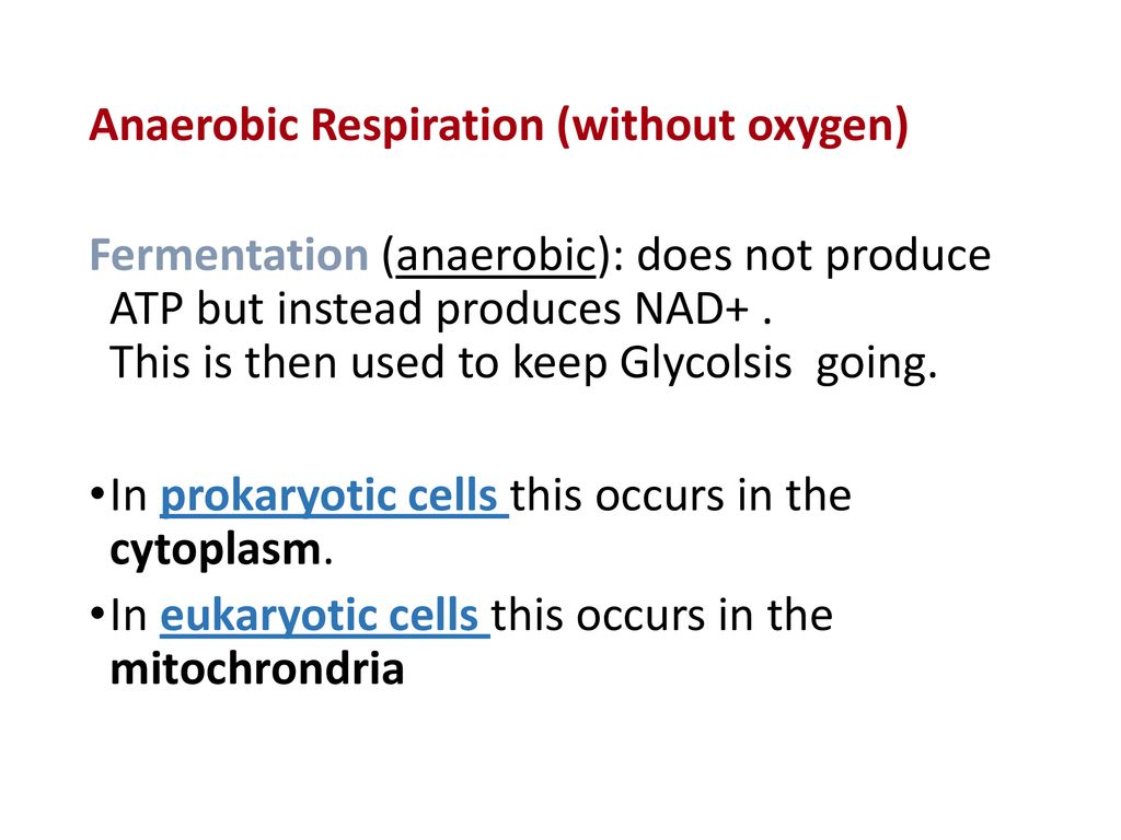 ch-8-photosynthesis-and-respiration-ppt-download