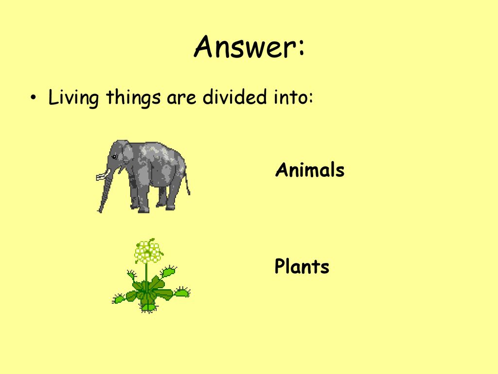 Sorting Living Things. - ppt download