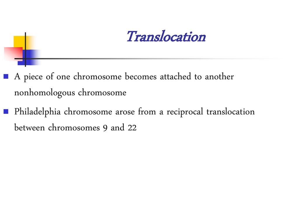Translocation A piece of one chromosome becomes attached to another nonhomologous chromosome.