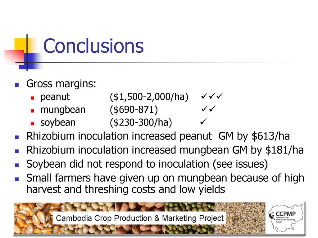 Conclusions Gross margins: