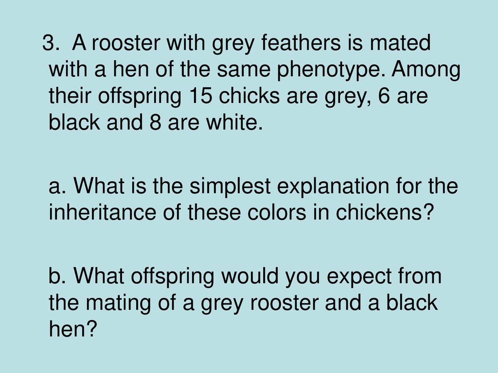 3. A rooster with grey feathers is mated with a hen of the same phenotype. Among their offspring 15 chicks are grey, 6 are black and 8 are white.