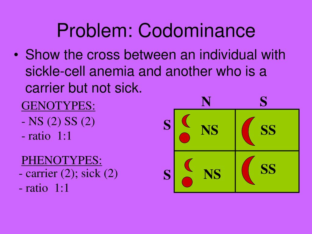 Problem: Codominance Show the cross between an individual with sickle-cell anemia and another who is a carrier but not sick.