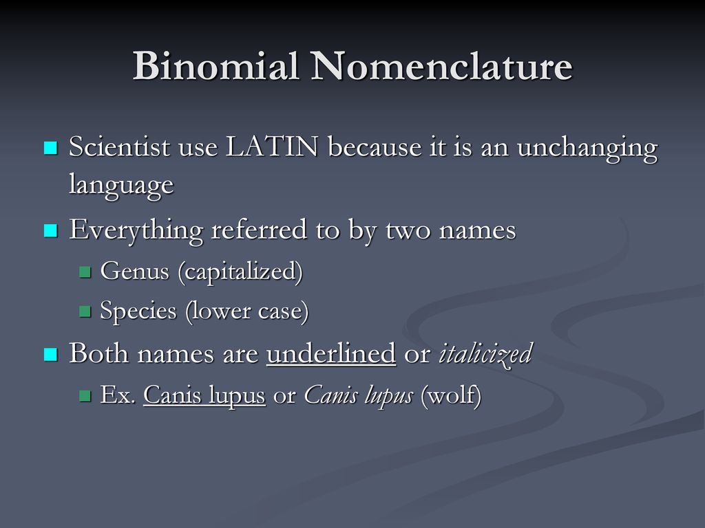 Classification and Life Diversity - ppt download