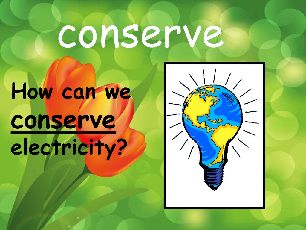Have You Ever Heard Of The Word Conserve What Do You Think It Means have-you-ever-heard-of-the-word-conserve-what-do-you-think-it-means
