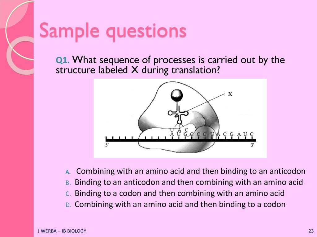 Which Best Describes The Structure Labeled X In The Diagram ...