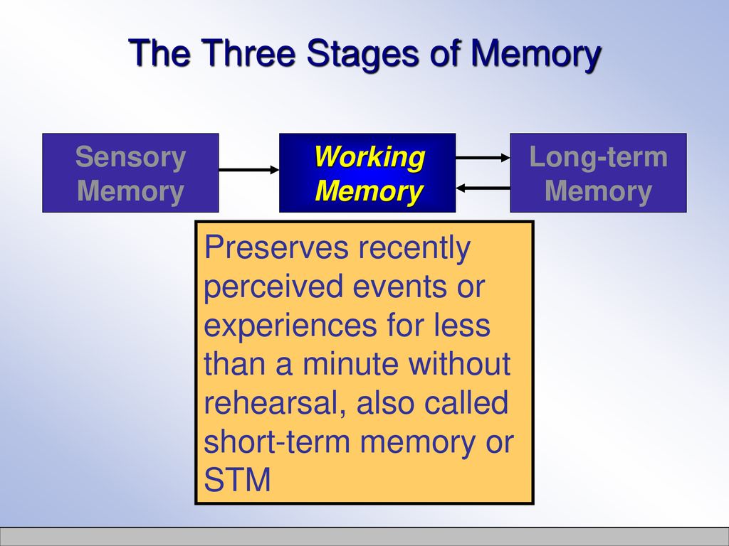 Cognition Student Slides - ppt download