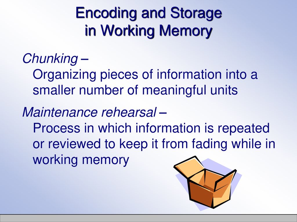 Encoding and Storage in Working Memory