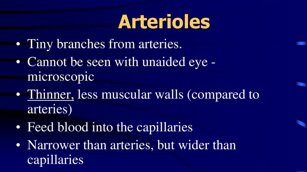 Arteries Arterioles Veins Venules Capillaries Ppt Download
