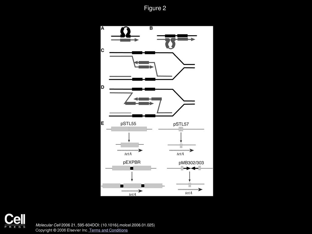 Volume 21 Issue 5 Pages March 2006 Ppt Download volume-21-issue-5-pages-march-2006-ppt-download