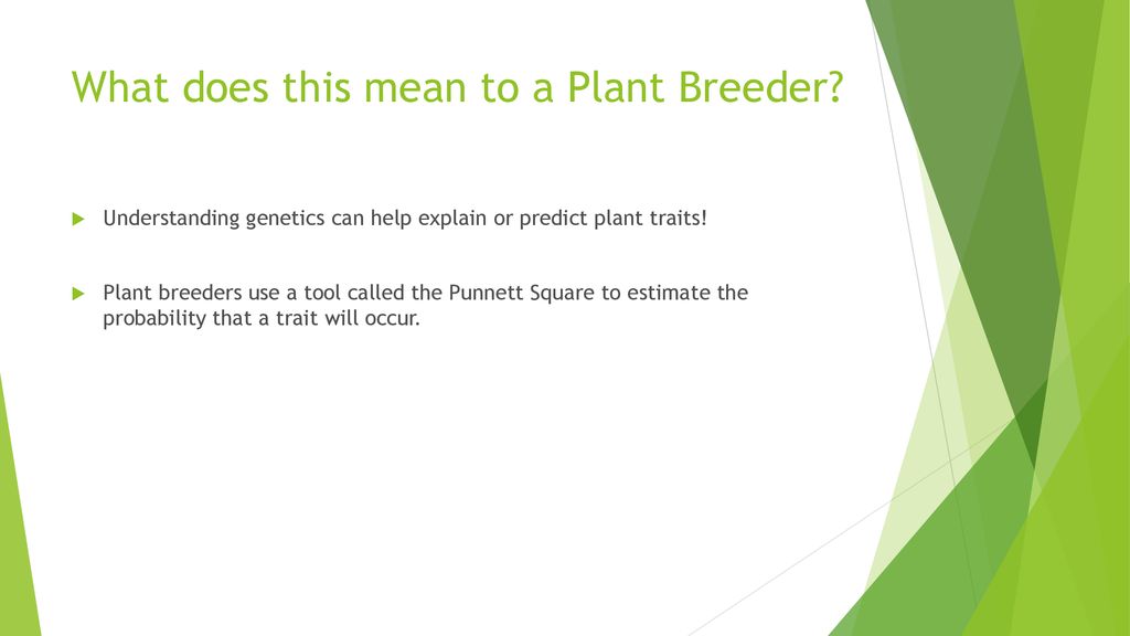selective-plant-breeding-ppt-download