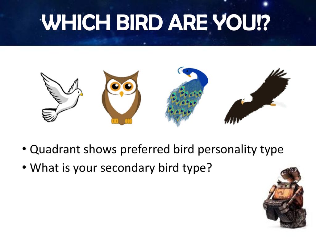 D O P E Professional Communication Styles Ppt Download