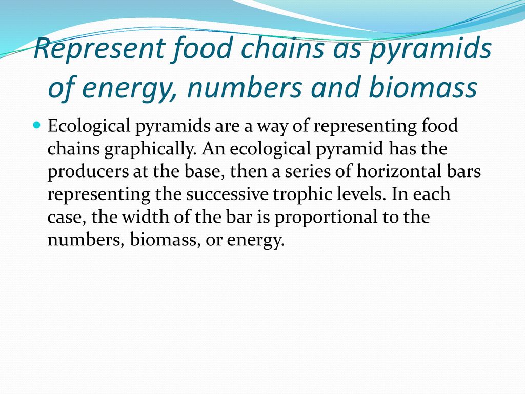 Energetics of Marine Ecosystems Biology Diagrams