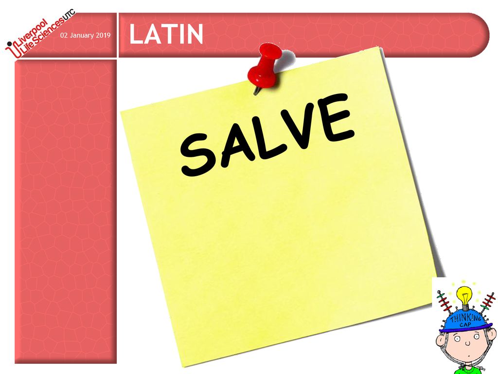 3 minutes to write why do you think LATIN might be useful. - ppt download