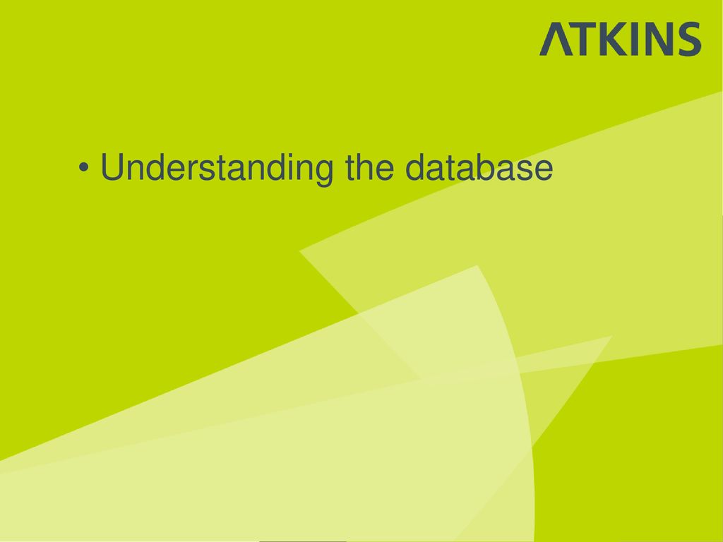 Understanding the database