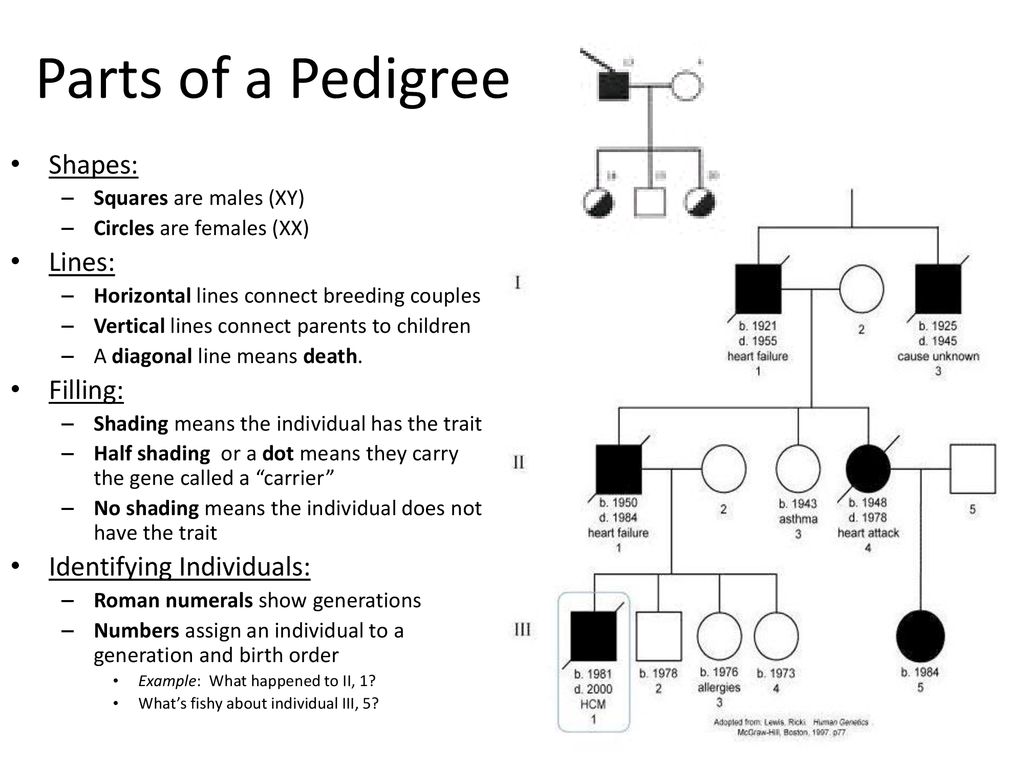 Asthma Pedigree Chart