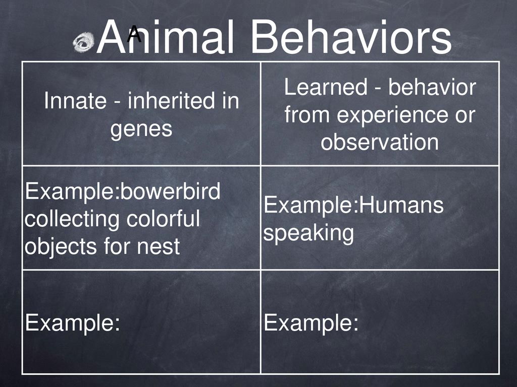 Chapter 3 Adapting to the Environment - ppt download