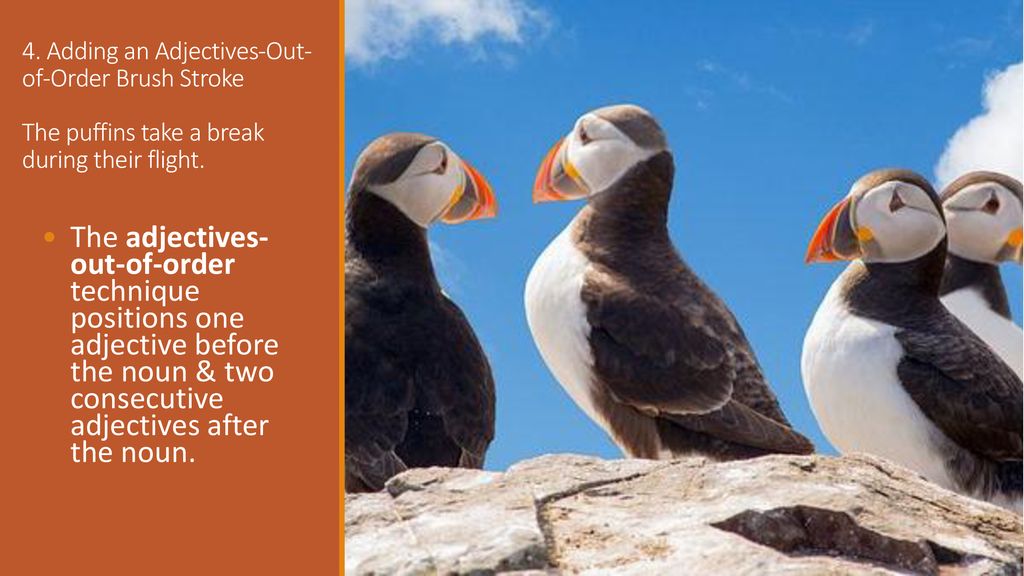 4. Adding an Adjectives-Out-of-Order Brush Stroke The puffins take a break during their flight.