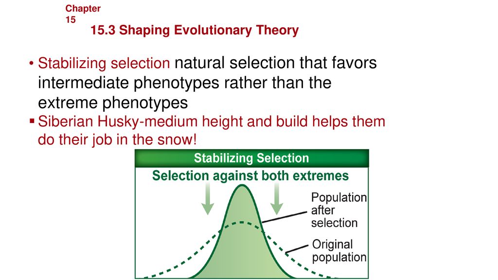 Chapter 15 Evolution Shaping Evolutionary Theory.